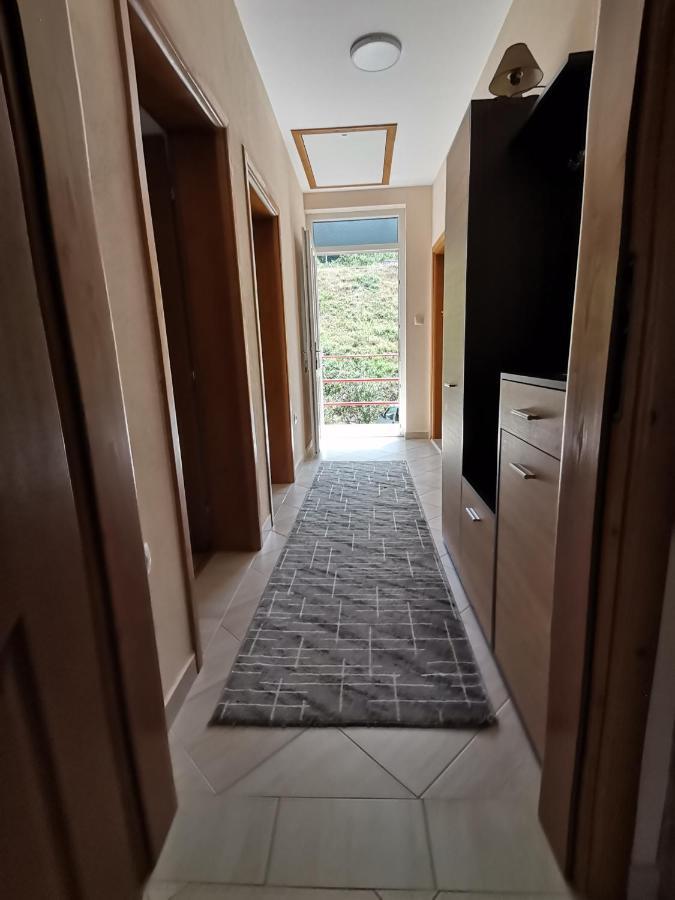 Apartment Osmajic Plužine Extérieur photo